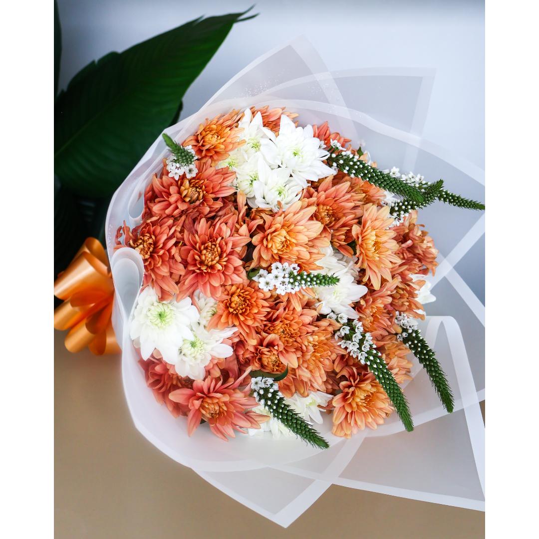 The Peaches & Cashmere Bloom